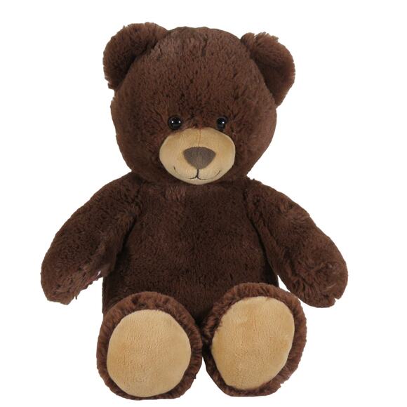Build A Bear Rainbow Bear & Classic Brown Teddy Plush Stuffed Animal 2014 - Picture 11 of 16